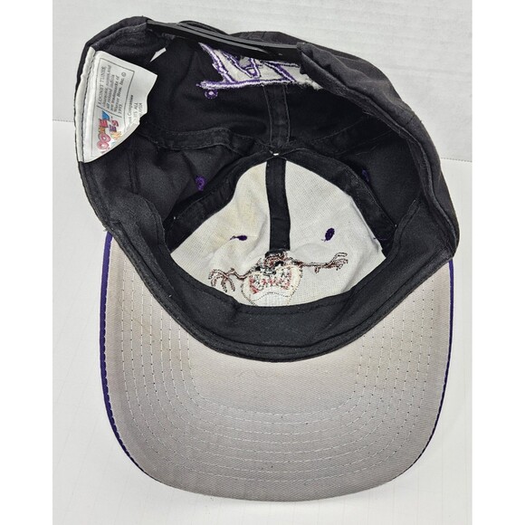 Vintage 1993 TAZ Tasmanian Devil Looney Tunes Snapback Hat Cap Warner Bros. - Picture 6 of 7